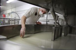 За годы продуктового эмбарго уральцы научились делать сыр не хуже импортного.