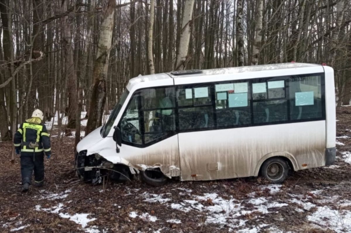 В Туле при ДТП с микроавтобусом пострадали три человека | АиФ Тула