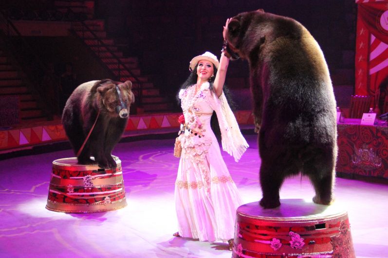 Новое шоу Гии Эрадзе «Пять континентов» в Иркутском цирке.
