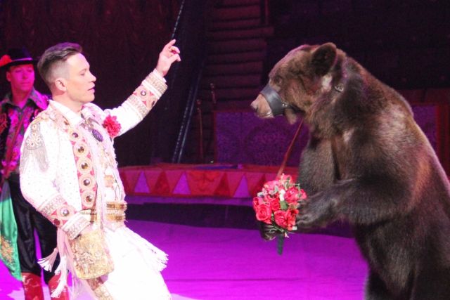 В шоу Гии Эрадзе даже дрессуру медведя могут показать по-новому.