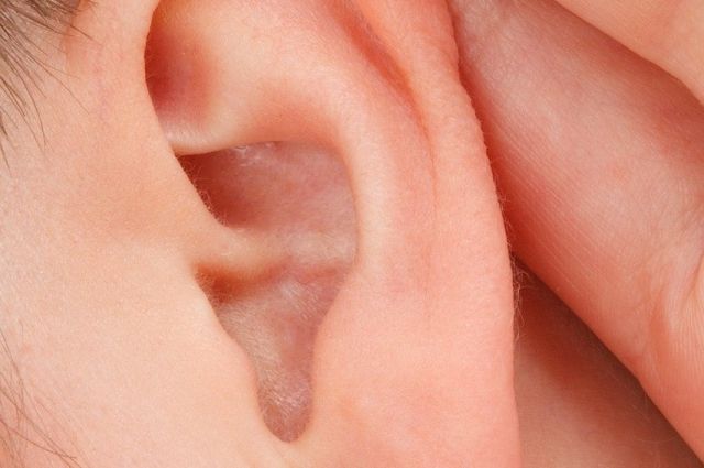 Перелом уха: как диагностировать и лечить