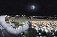 Учёные разработали модель грибной фермы на Луне.