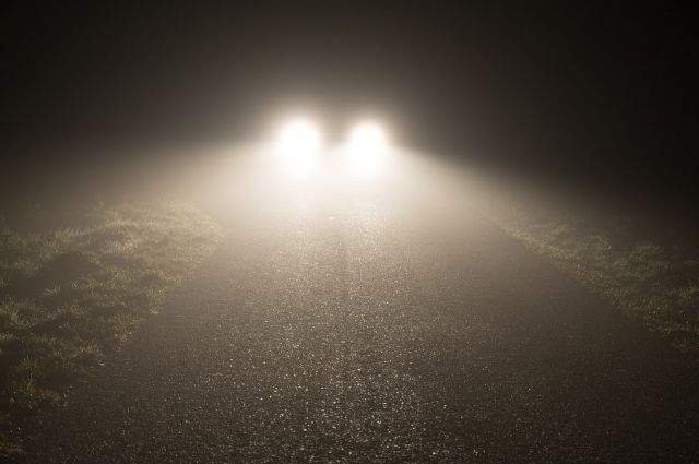 Водителей Оренбуржья предупреждают о тумане на дорогах области 1 апреля. 