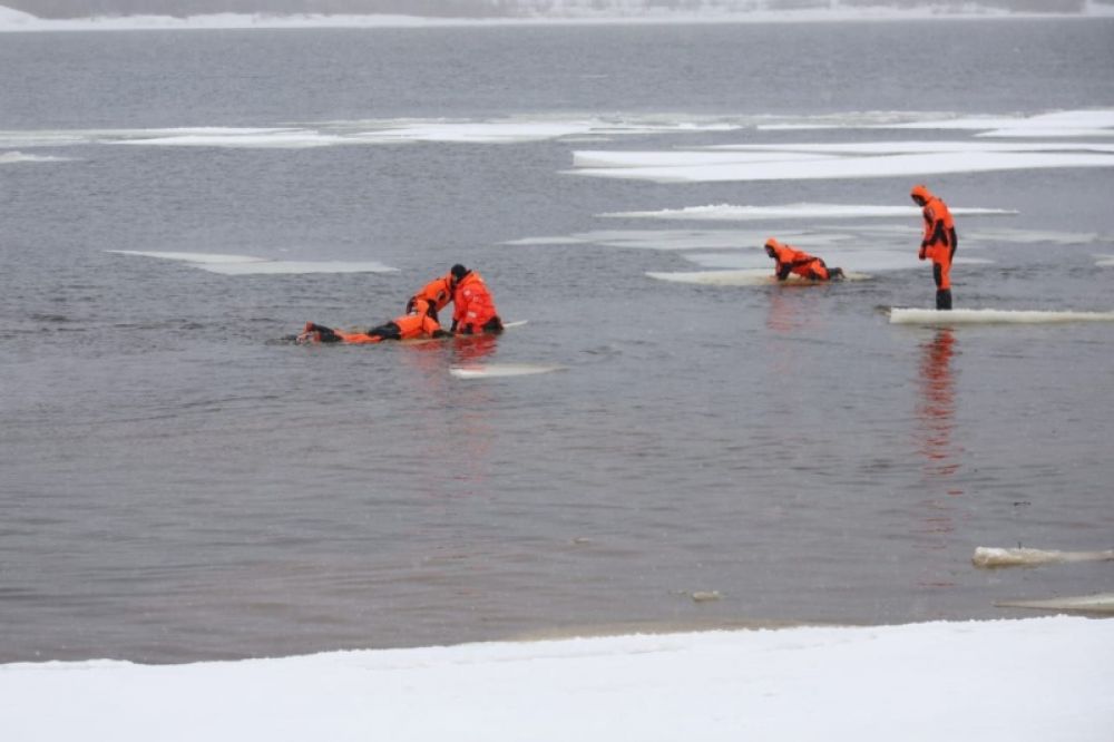 Сотрудники МЧС отрабатывали снятие рыбаков с льдины.