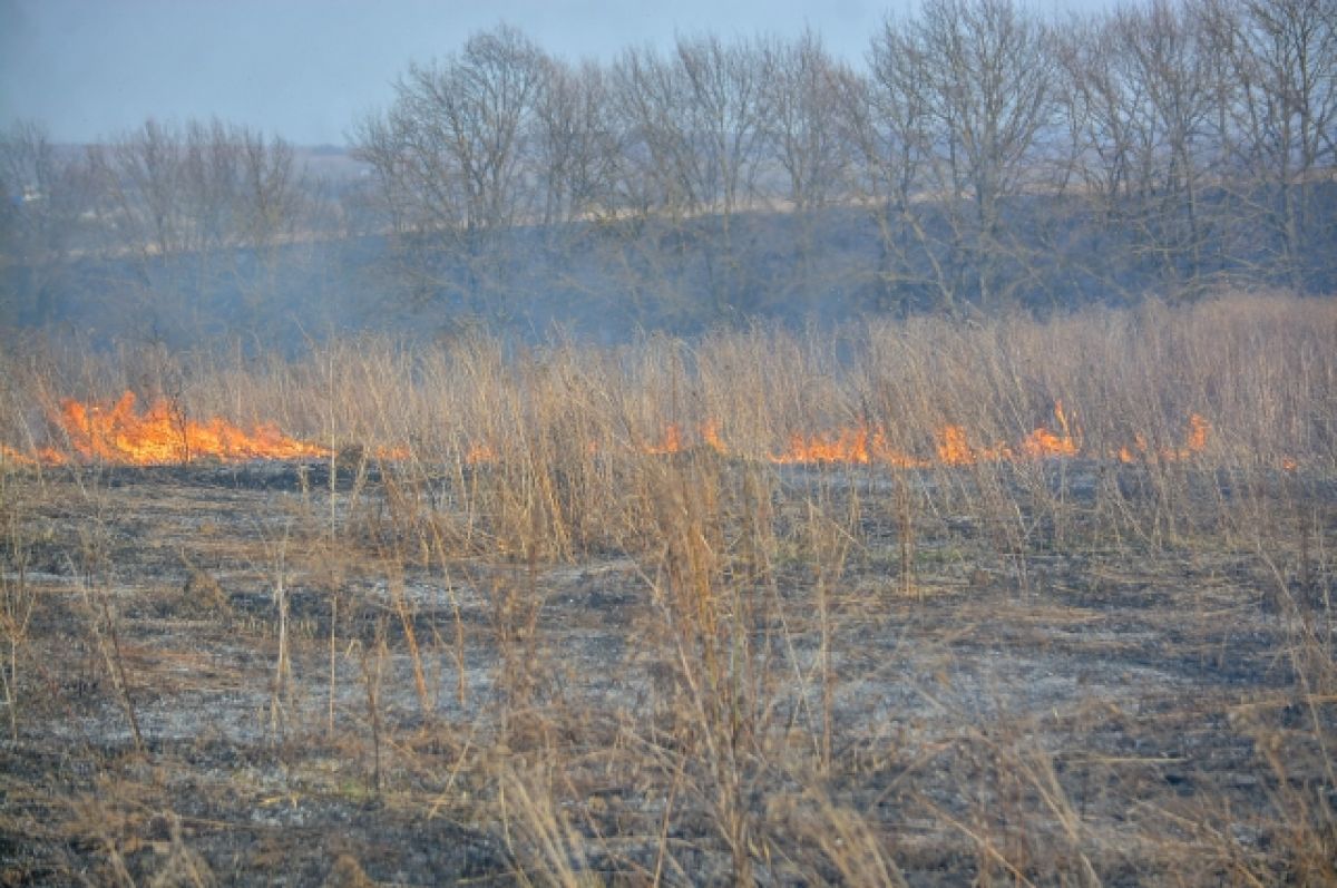 Пожароопасный период 2024 бурятия. Пожар в лесу. Пал травы. Пал сухой травы. Поджог сухой травы.