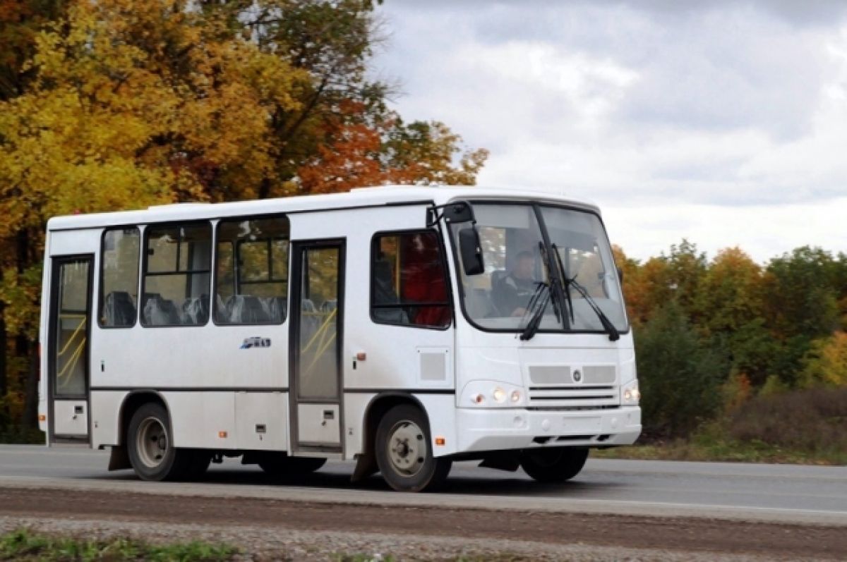 Маршрутки поднимают цены на билеты в Петрозаводске | АиФ Карелия