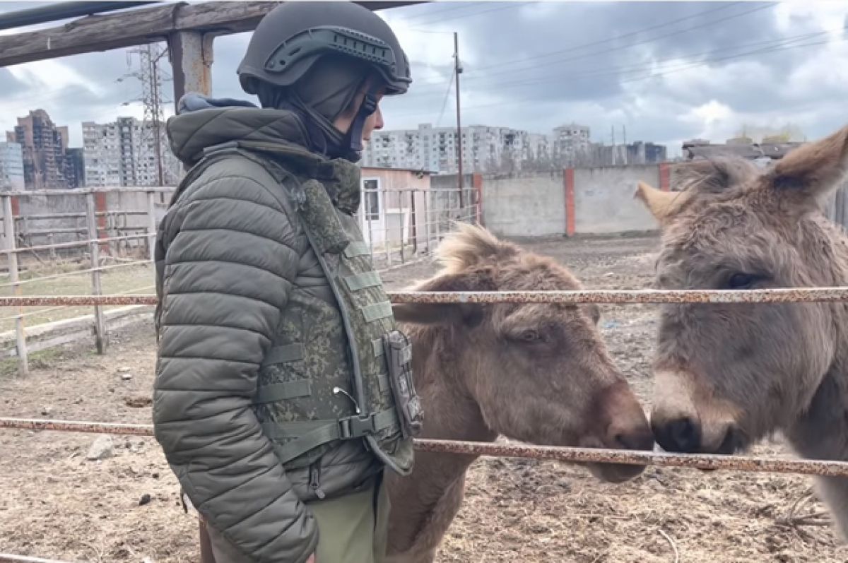 Лев под бомбежками. Как выживают животные в зоопарке Мариуполя | Аргументы  и Факты