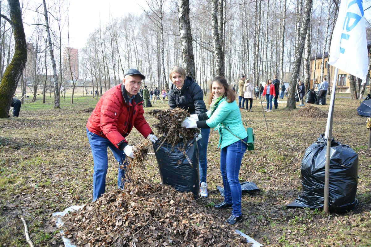 Жители Новомосковска жалуются на принудительные субботники | АиФ Тула