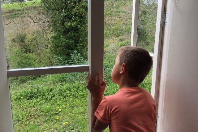 Эксперты объяснили, как обезопасить окна в квартире для детей и животных