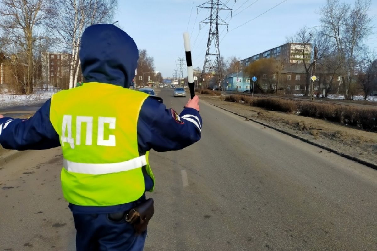 Картина дня в Хабкрае: ДТП с ГИБДД, укусили полицейского и минирования |  АиФ Хабаровск