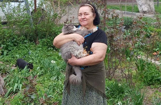 Мансура Магоматхажиева выхаживает кошек больше 20 лет. 