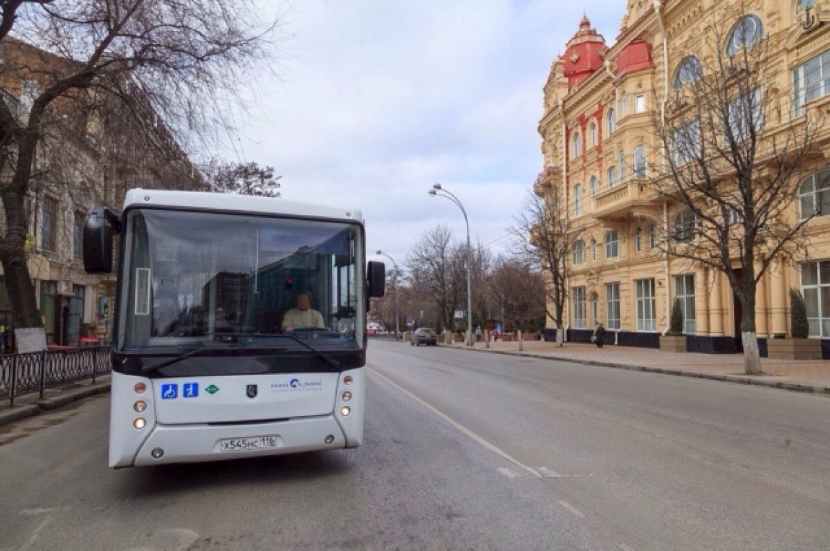 В Ростове экологичные автобусы остались без запчастей из-за санкций | АиФ  Ростов-на-Дону