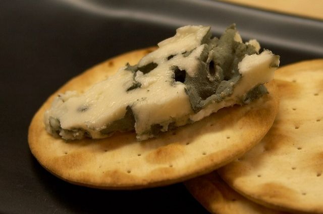 Сыр с плесенью и густые йогурты — скоро Ноябрьский сельхозкомплекс расширит свой ассортимент. 