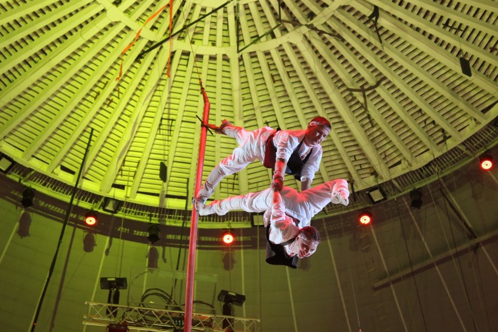 В Международный день цирка для жителей Саратова устроили праздник.