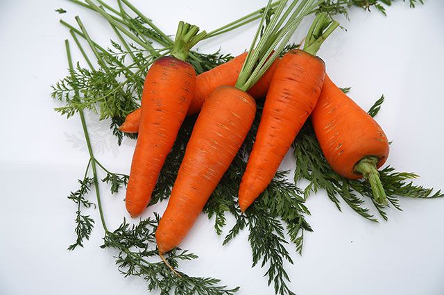 морковь для черноземья сорта