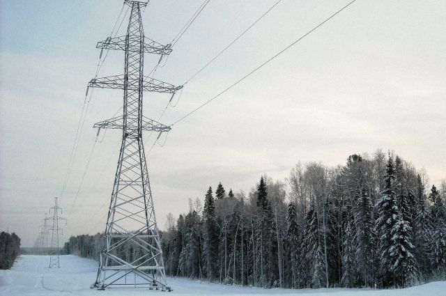 На Ямале энергетики установят на линиях электропередачи устройства для отпугивания птиц.