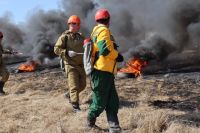 В Берёзовском районе прошли совместные учения лесных пожарных и МЧС.