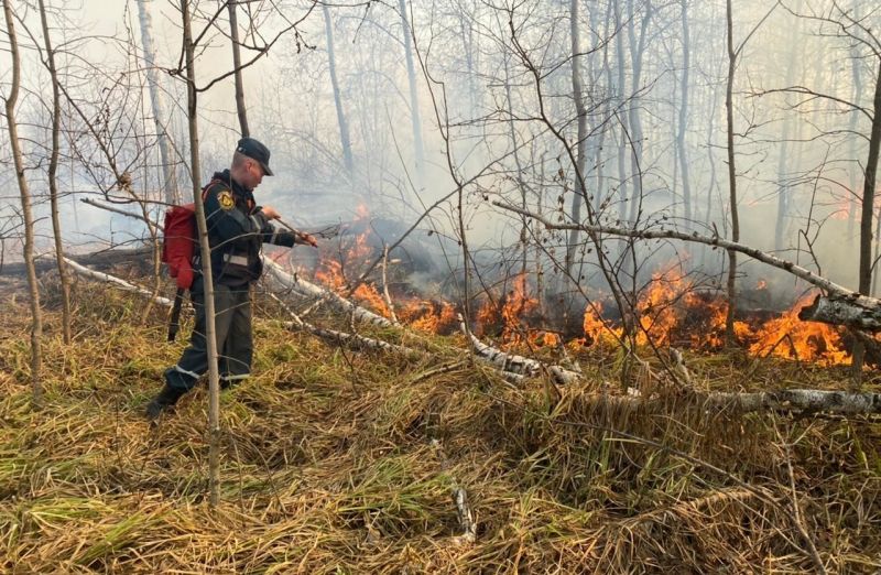 Тушение возгорания сухой растительности в Новосибирской области