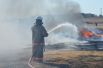 С начала пожароопасного периода в Красноярском крае произошло более 400 ландшафтных пожаров