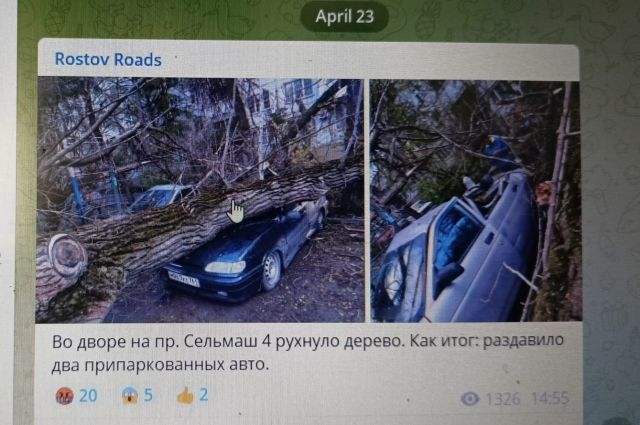 Упавшее дерево в Ростове придавило несколько машин