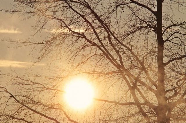 Потепление до +21°C и грозы придут в Прикамье последнюю неделю апреля