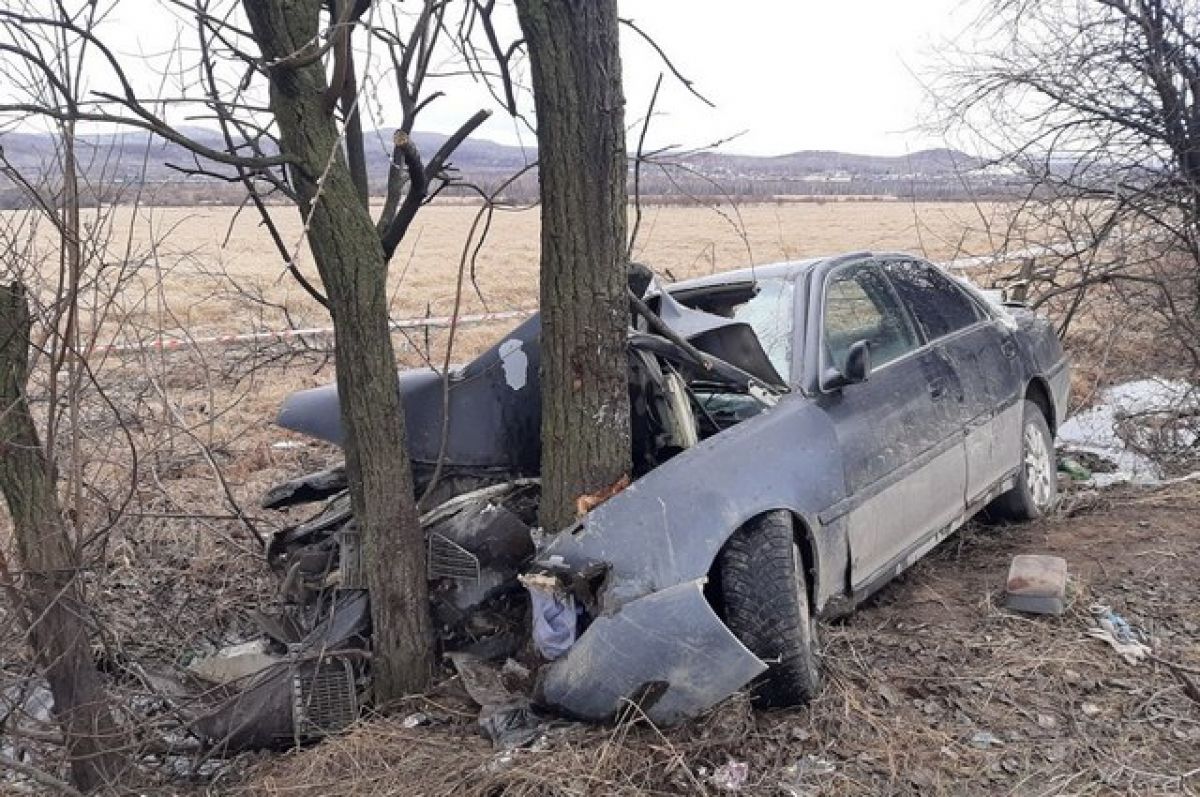 В ДТП с деревом в Комсомольске погиб один человек и четверо получили травмы  | АиФ Хабаровск