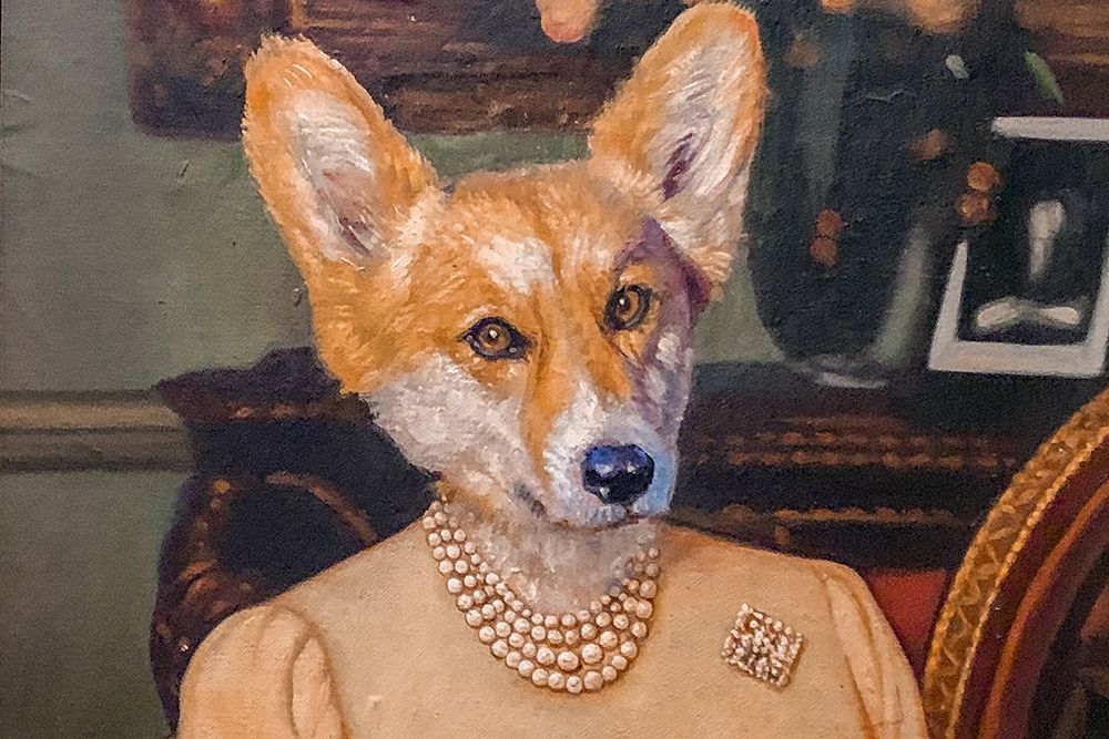 Фрагмент картины «Портрет корги в платье Королевы». 2018 год. Холст, масло.