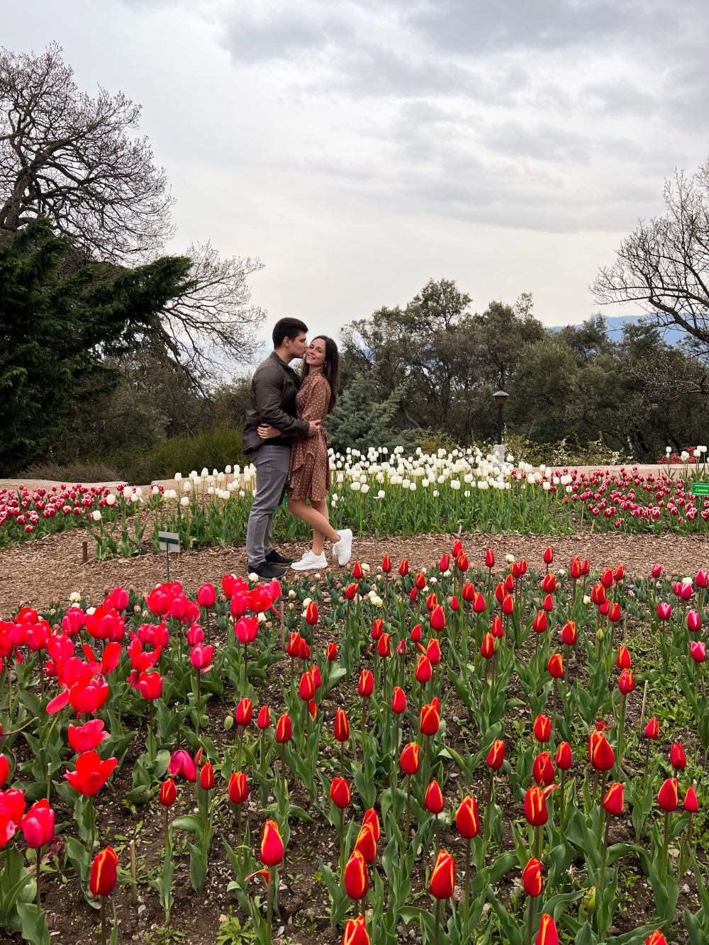 Парад тюльпанов - отличное место для романтических прогулок.