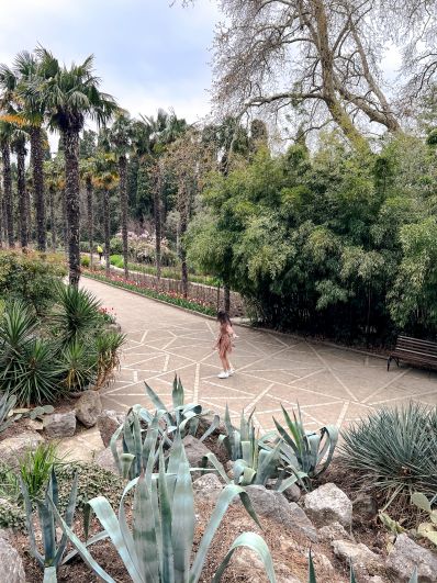Никитский ботанический сад (НБС) — один из старейших ботанических садов мира, основанный в 1811 году. Его общая площадь составляет 1100 Га.
