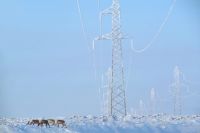 Минимальные температуры были зафиксированы в Нягани и Новом Уренгое