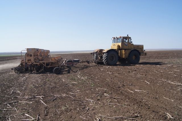 Аграрии Оренбуржья получат поддержку из федерального бюджета
