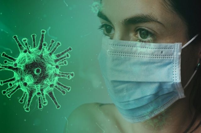 В Брянской области за сутки коронавирус выявили у 54 человек