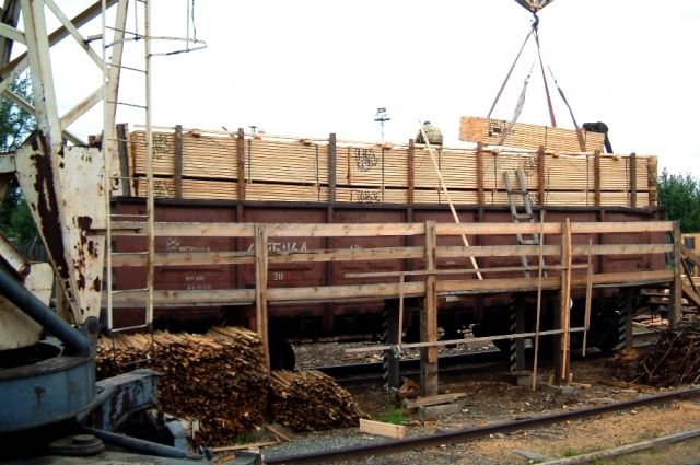 Злоумышленники вывезли за рубеж свыше 5,5 тыс. кубов древесины на 50 миллионов рублей.