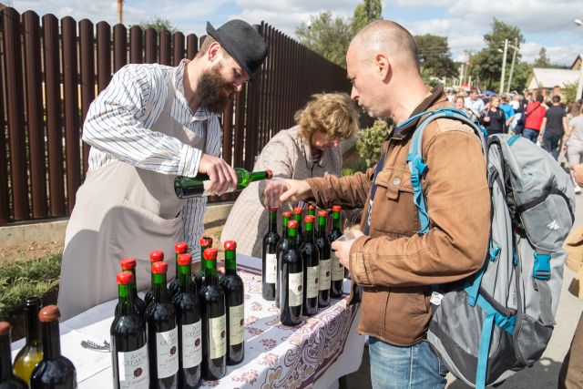 На Дону виноградарство и виноделие поддержат суммой в 50 млн рублей