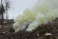 В Оренбуржье выявлено 4 лесных пожара за сутки
