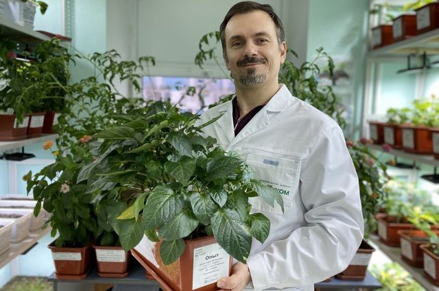 Дмитрий Скотников дал профессиональные советы садоводам.