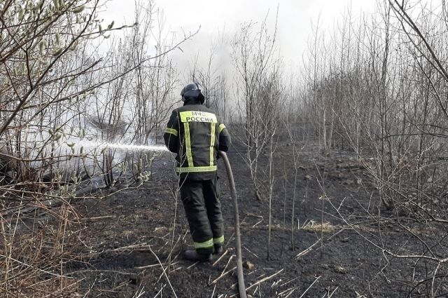 В РФ за сутки потушили 169 природных пожаров