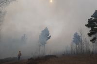 В Курганской области действуют восемь лесных пожаров