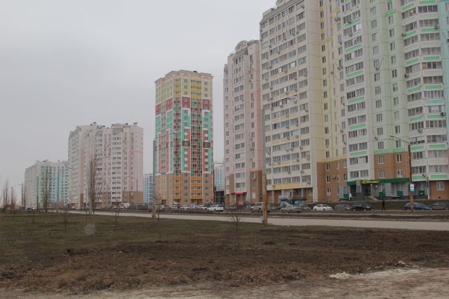 В Ростове горожане поддержали инициативу создать парк в Левенцовке