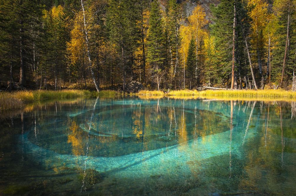 Озеро гейзеров в Горном Алтае — невероятное чудо природы. Оно находится в Улаганском районе Республики Алтай, в 6 километрах от посёлка Акташ у подножья Северо-Чуйского Хребта. Высота над уровнем моря — 1370 м. Размер озера составляет всего около 30 метров. Несмотря на название, никаких гейзеров на дне озера нет. Вода всегда прозрачная, спокойная, не замерзает зимой. Озеро подпитывают один большой подземный родник и три поменьше. Поверхность дна — смесь голубой глины и песка, которая при увеличении притока воды из родников поднимается и оседает на дне, образуя причудливые узоры.