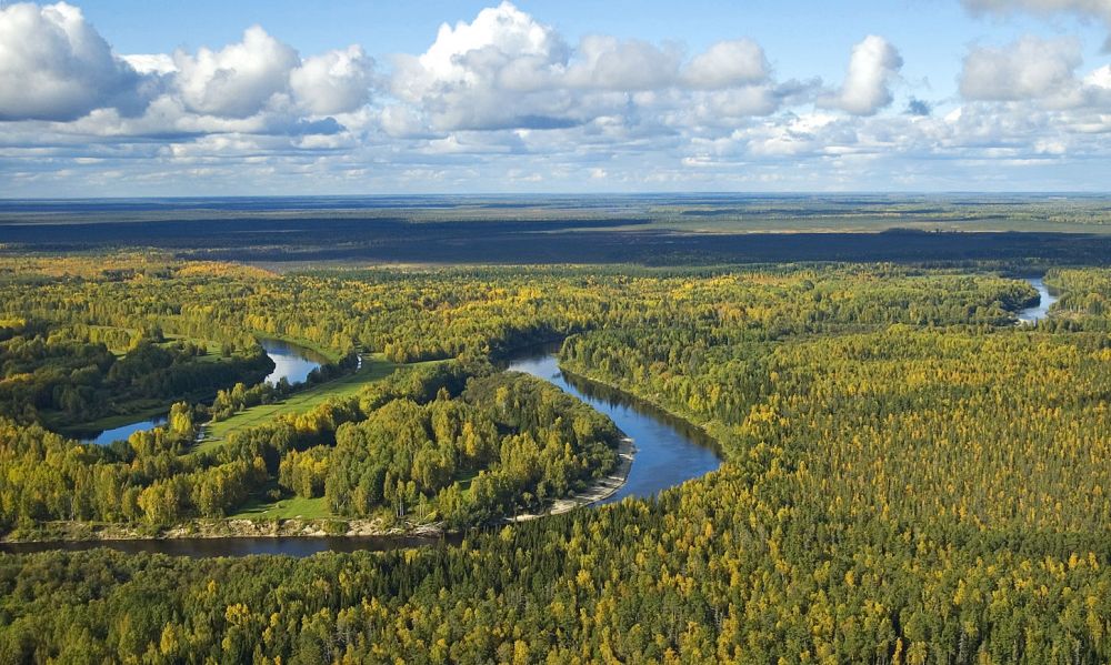 Васюганские болота (Томская, Новосибирская и Омская области). Они занимают площадь больше, чем некоторые страны — 53 тысячи квадратных километров. Возникли они около 10 тысяч лет назад и до настоящего времени продолжают расти — каждый год в среднем на 800 гектаров.