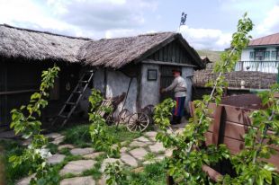 Самые зажиточные казаки жили на Дону, Волге, Кубани.