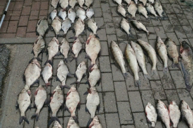 В Ростовской области поймали браконьера, выловившего 37 килограммов рыбы