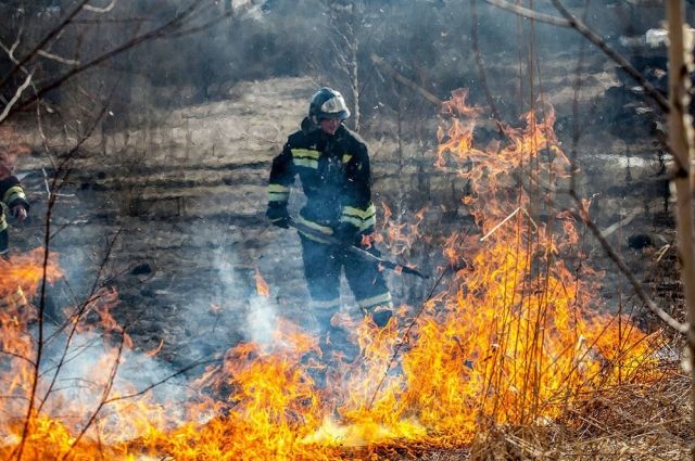 Полицейские в Красноярском крае задержали больше сотни поджигателей сухой травы.