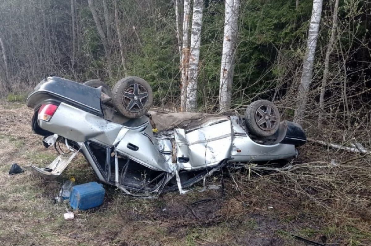 В Тверской области под Ржевом в аварии погиб мужчина | АиФ Тверь