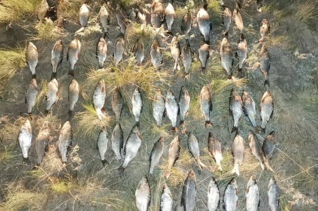 В Орске полиция задержала браконьера с рыболовными сетями и лодкой.