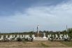 Мемориальное кладбище погибших красноармейцев и обелиск «Скорбящая мать» в станице Темижбекская Кавказского района.