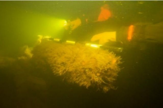 Затонувшее судно специалисты нашли в Пильском проливе у берегов Выборга.