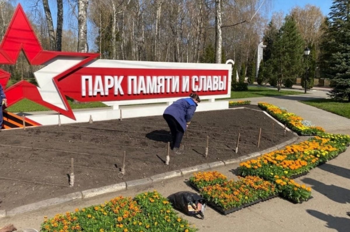 Цветы возле памятника. Цветы Новомосковск. Цветы возле дороги. Мемориальный комплекс в парке Победы.