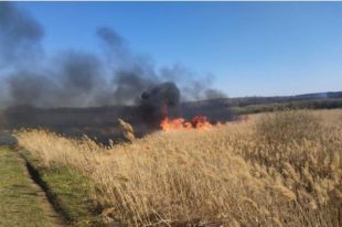 Полтавская область объявила наивысший уровень пожарной опасности.